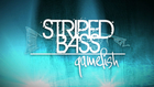 Striped Bass Gamefish