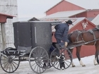 Amish vs. the Courts: Family Speaks Out on Fleeing the U.S. to Escape Court-Mandated Chemo