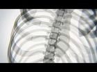 X-ray Body in Motion - Yoga