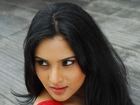 Hot Kannada Actress Ramya Enters Politics